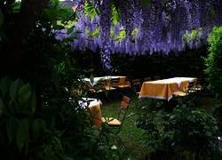 images restaurant sommer-terrasse-k1 &copy;